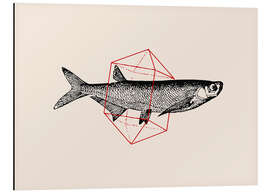 Magnettafel Fish In Geometrics II