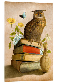 Cuadro de metacrilato  Wise Owl - Diogo Veríssimo