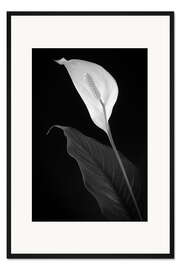 Gerahmter Kunstdruck Einblatt