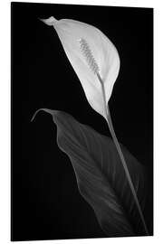 Magnettafel Einblatt