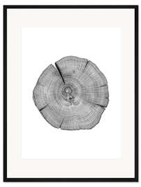 Gerahmter Kunstdruck Nachgezählt! Jahresringe im Baumstamm