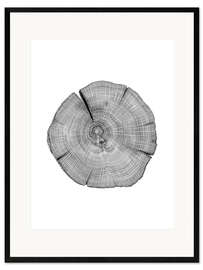 Framed art print Counted! Annual rings in the tree trunk