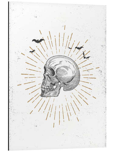 Aluminium print Skull illustration