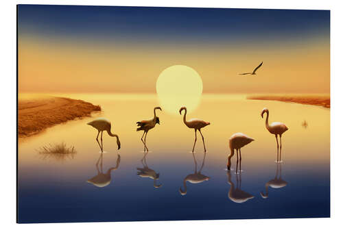 Tableau en aluminium Flamingos in the evening sun