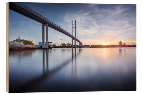 Puutaulu Rügenbrücke in the evening sun (Stralsund / Germany)