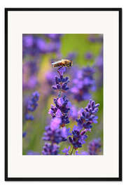 Gerahmter Kunstdruck On Top