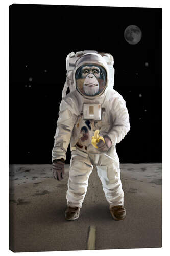 Quadro em tela Spacemonkey