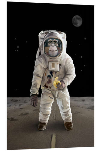 PVC-taulu Spacemonkey