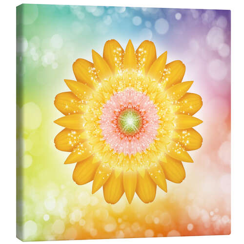 Canvas print Mandala - I am love and light