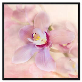 Gerahmter Kunstdruck Orchideen