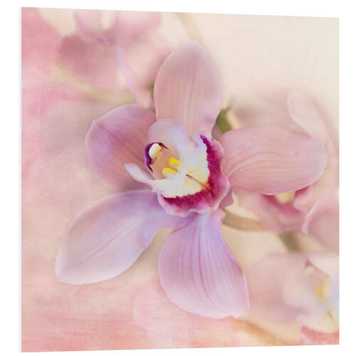 Foam board print orchids