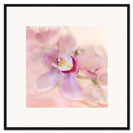 Framed art print orchids