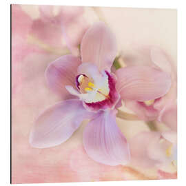 Magnettafel Orchideen