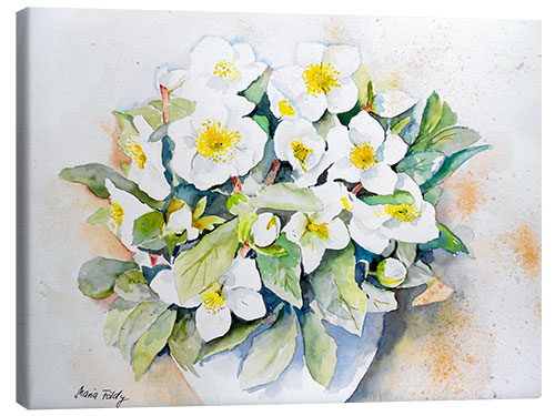 Tableau sur toile Hellebores 3