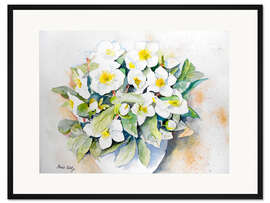 Gerahmter Kunstdruck Christrosen 2