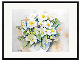 Gerahmter Kunstdruck Christrosen 2