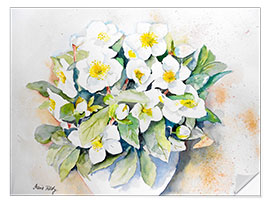 Selvklebende plakat Hellebores 3