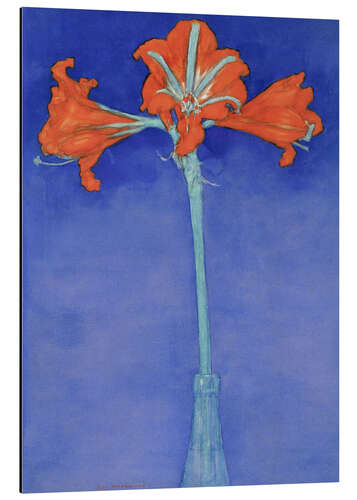 Obraz na aluminium amaryllis