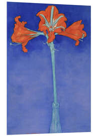 Quadro em PVC amaryllis