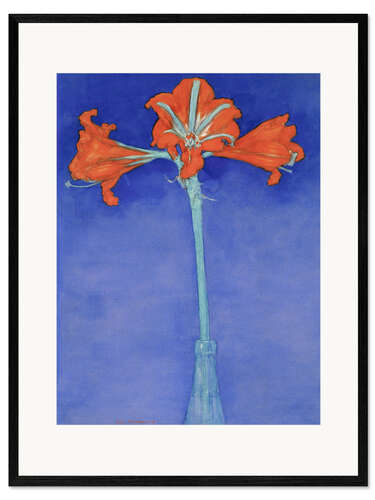 Kehystetty taidepainatus amaryllis