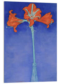 Gallery Print Amaryllis