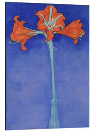 Magnettafel Amaryllis