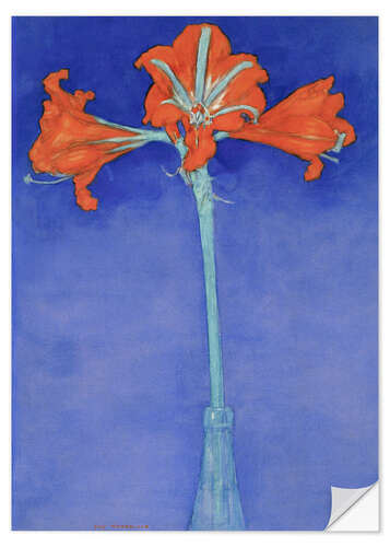 Wall sticker Amaryllis