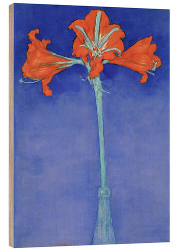 Wood print Amaryllis