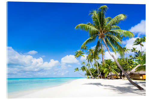 Acrylic print Palm beach in the South Pacific with white sand and blue sea