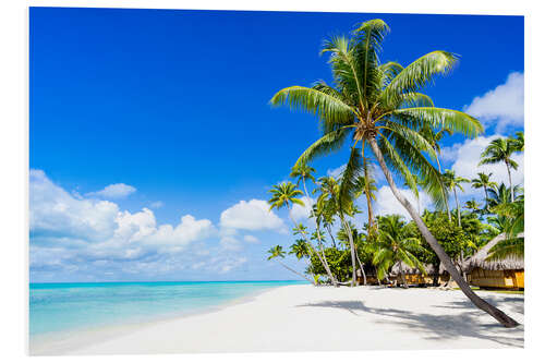 Bilde på skumplate Palm beach in the South Pacific with white sand and blue sea