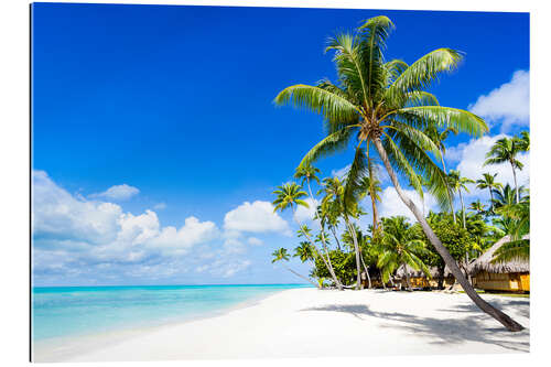 Tableau en plexi-alu Plage et palmiers dans le Pacifique Sud