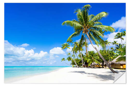 Naklejka na ścianę Palm beach in the South Pacific with white sand and blue sea