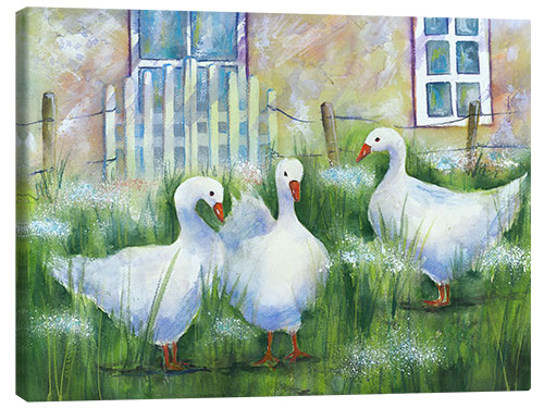 Canvas print Geese in the grass