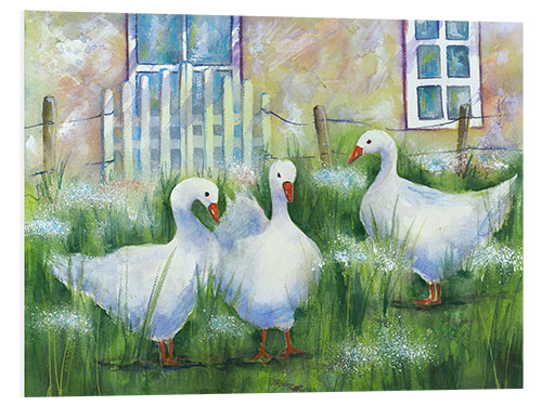 PVC-taulu Geese in the grass