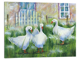 Quadro em plexi-alumínio Geese in the grass