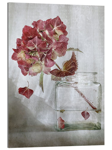 Quadro em plexi-alumínio Still life with Hydrangea