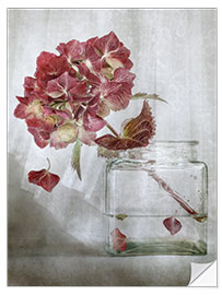 Självhäftande poster Still life with Hydrangea