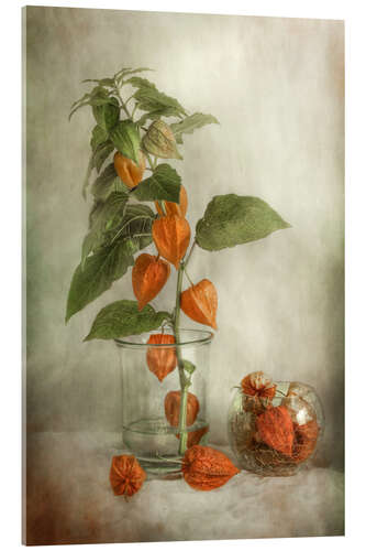 Tableau en verre acrylique Nature morte avec Physalis