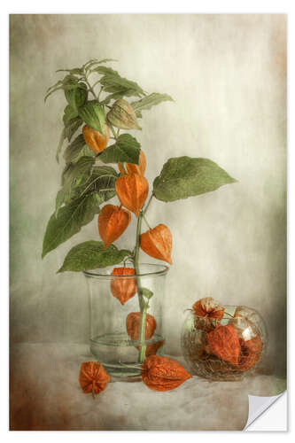 Selvklebende plakat Still life with Physalis