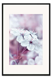 Gerahmter Kunstdruck Ein lila Frühling
