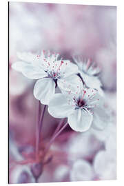 Magnettafel Ein lila Frühling