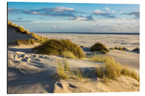 Aluminiumsbilde Landscape with dunes on the North Sea island Amrum