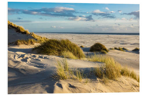 Foam board print Landscape with dunes on the North Sea island Amrum