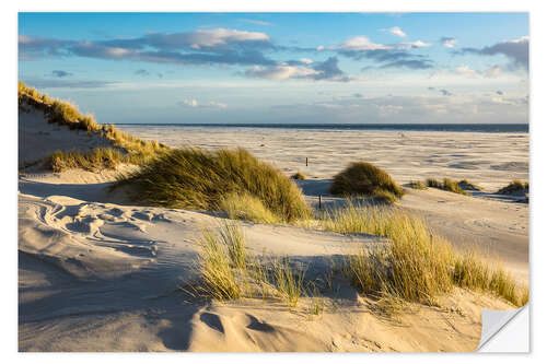 Naklejka na ścianę Landscape with dunes on the North Sea island Amrum