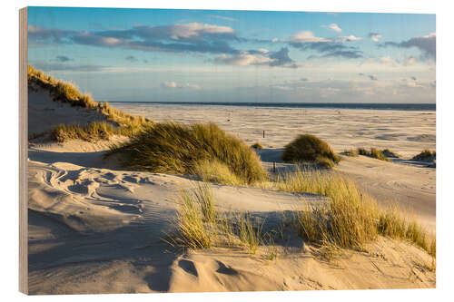 Obraz na drewnie Landscape with dunes on the North Sea island Amrum