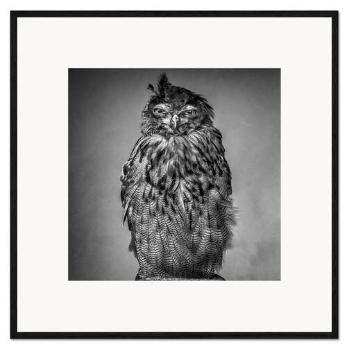 Framed art print Bad hair day