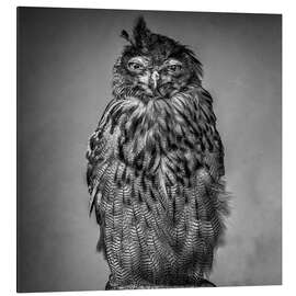 Magnettafel Bad hair day