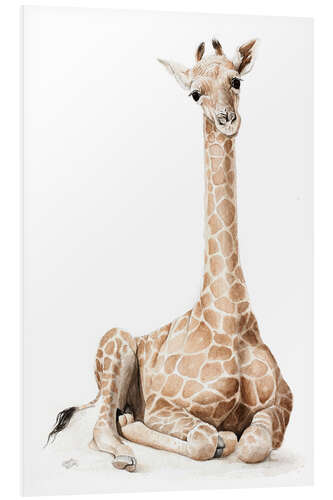 PVC-taulu giraffenbaby