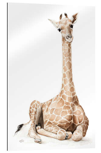 Gallery print giraffenbaby