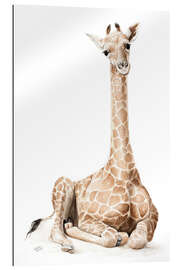 Gallery print giraffenbaby